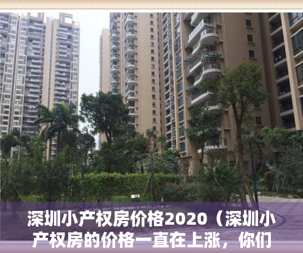 深圳小产权房价格2020（深圳小产权房的价格一直在上涨，你们还在纠结？）