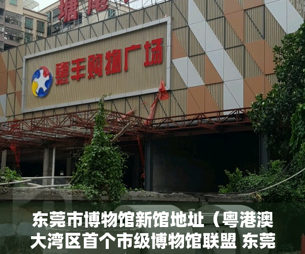 东莞市博物馆新馆地址（粤港澳大湾区首个市级博物馆联盟 东莞博物馆联盟揭牌成立）