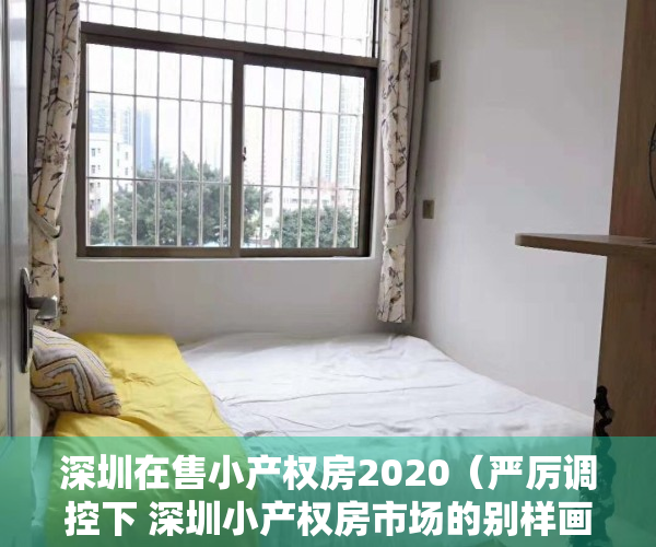 深圳在售小产权房2020（严厉调控下 深圳小产权房市场的别样画面）