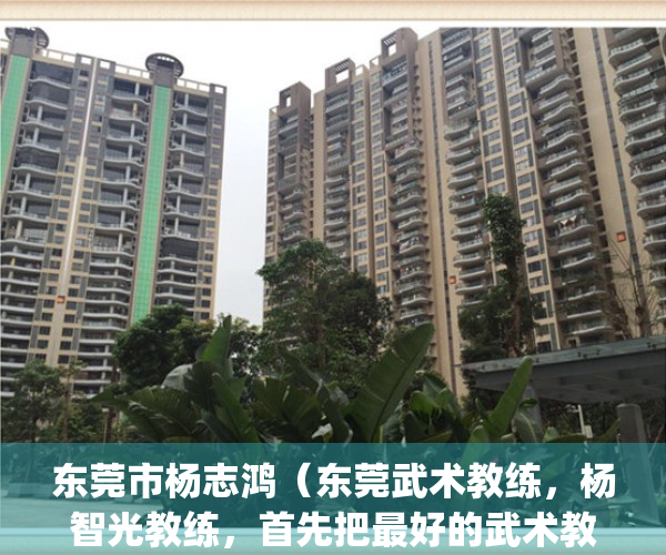 东莞市杨志鸿（东莞武术教练，杨智光教练，首先把最好的武术教给你！）(东莞证券 杨志茂)