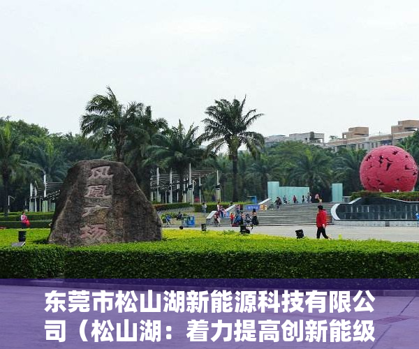 东莞市松山湖新能源科技有限公司（松山湖：着力提高创新能级，打造引领东莞高质量发展核心引擎）