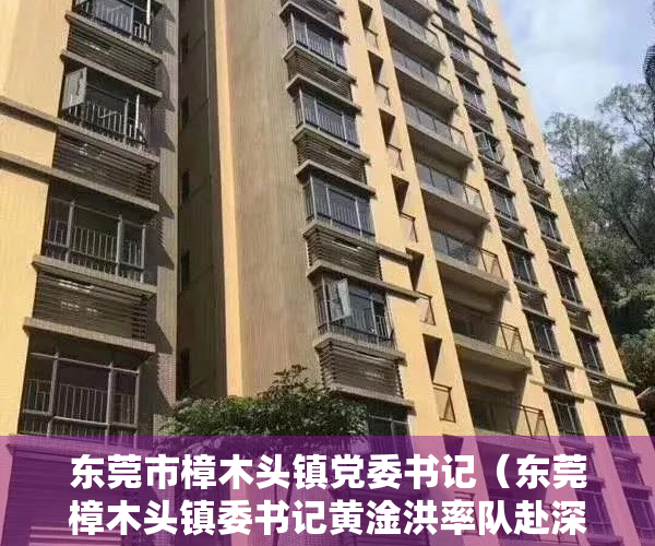 东莞市樟木头镇党委书记（东莞樟木头镇委书记黄淦洪率队赴深圳华润置地项目参观考察）