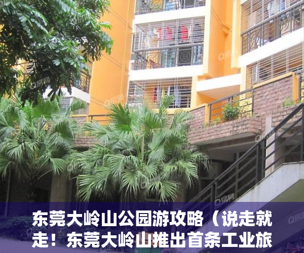 东莞大岭山公园游攻略（说走就走！东莞大岭山推出首条工业旅游路线，好吃好玩优惠购）