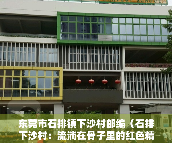 东莞市石排镇下沙村邮编（石排下沙村：流淌在骨子里的红色精神血脉）