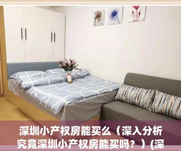 深圳小产权房能买么（深入分析究竟深圳小产权房能买吗？）(深圳小产权到底可以买吗)