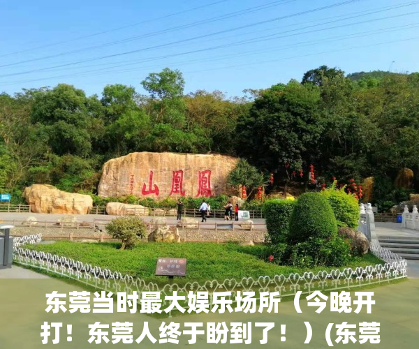 东莞当时最大娱乐场所（今晚开打！东莞人终于盼到了！）(东莞十大娱乐场所)