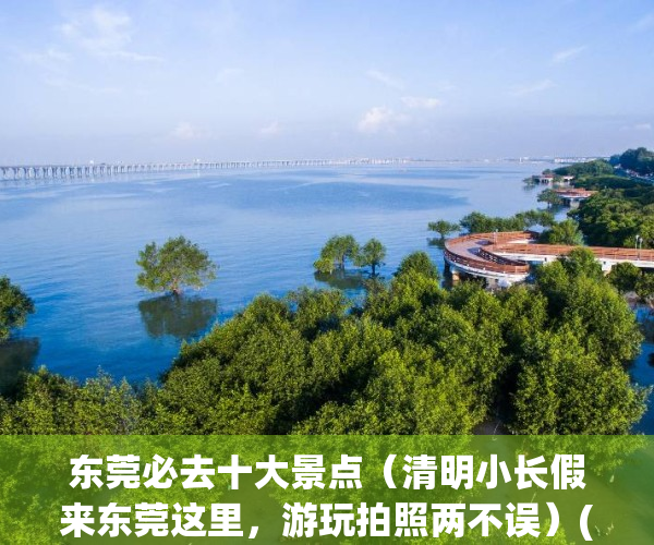 东莞必去十大景点（清明小长假来东莞这里，游玩拍照两不误）(东莞必去的景区)