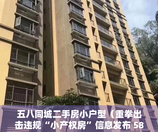 五八同城二手房小户型（重拳出击违规“小产权房”信息发布 58同城等21家中介被查）
