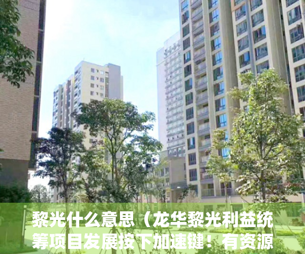 黎光什么意思（龙华黎光利益统筹项目发展按下加速键！有资源，直接签约）