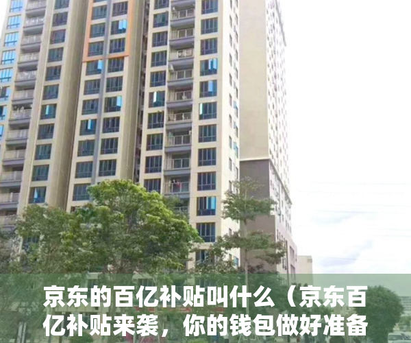 京东的百亿补贴叫什么（京东百亿补贴来袭，你的钱包做好准备了吗？和多多、淘宝百亿补贴简单对比）