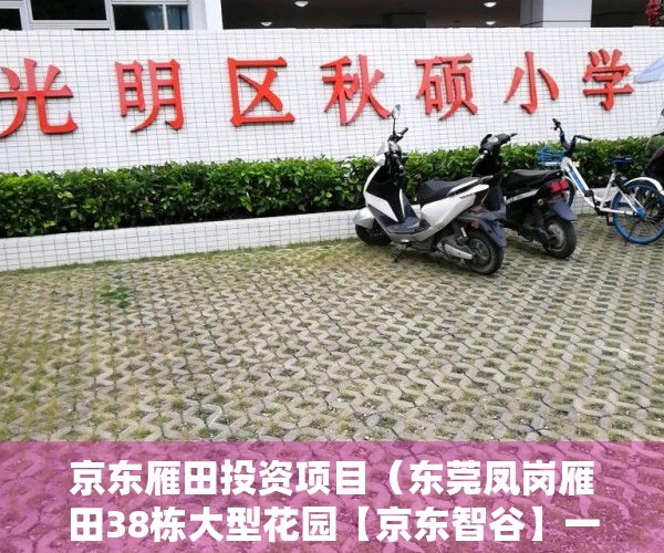 京东雁田投资项目（东莞凤岗雁田38栋大型花园【京东智谷】一房首付19万，签合资建房，大型停车场、配套数千家电商企业进驻、未来一座商业城）