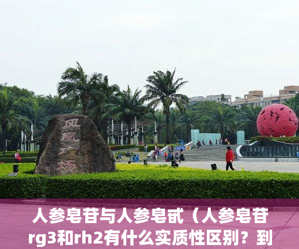 人参皂苷与人参皂甙（人参皂苷rg3和rh2有什么实质性区别？到底应该怎么选？）