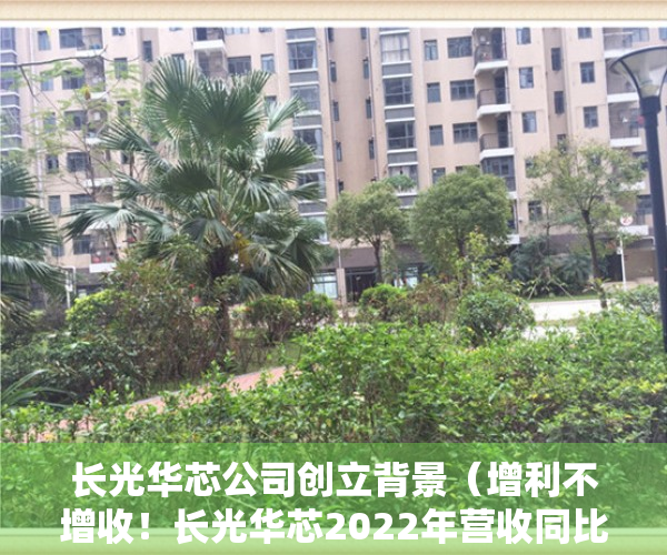 长光华芯公司创立背景（增利不增收！长光华芯2022年营收同比下滑近一成）
