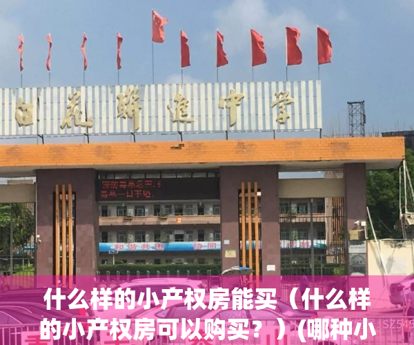 什么样的小产权房能买（什么样的小产权房可以购买？）(哪种小产权房可以买?)