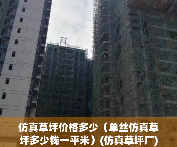 仿真草坪价格多少（单丝仿真草坪多少钱一平米）(仿真草坪厂)