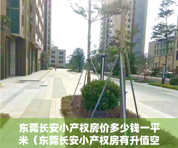 东莞长安小产权房价多少钱一平米（东莞长安小产权房有升值空间吗？）