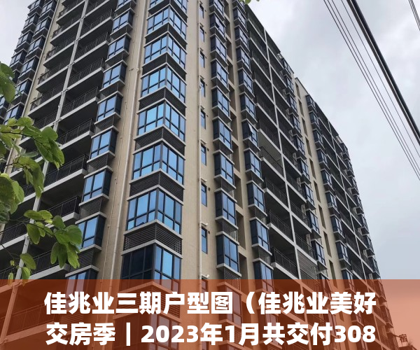 佳兆业三期户型图（佳兆业美好交房季｜2023年1月共交付3089套房）(佳兆业大三期工程进度)