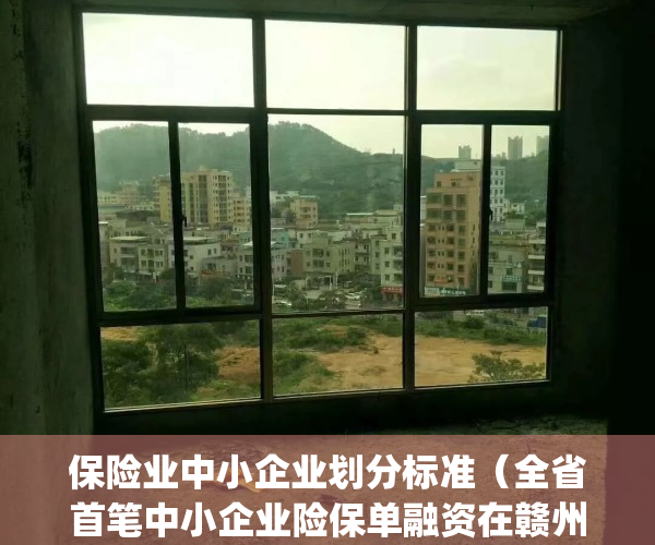 保险业中小企业划分标准（全省首笔中小企业险保单融资在赣州落地）(中小保险公司发展)
