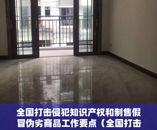 全国打击侵犯知识产权和制售假冒伪劣商品工作要点（全国打击侵权假冒工作领导小组办公室发布《中国知识产权保护与营商环境新进展报告（2021）》）