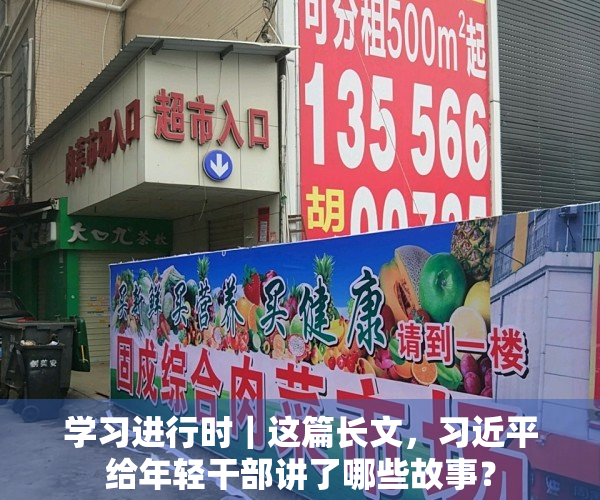 学习进行时｜这篇长文，习近平给年轻干部讲了哪些故事？