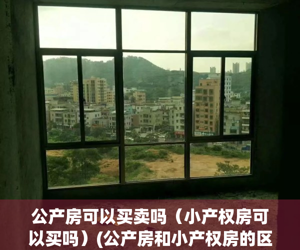 公产房可以买卖吗（小产权房可以买吗）(公产房和小产权房的区别)