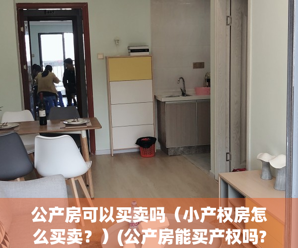 公产房可以买卖吗（小产权房怎么买卖？）(公产房能买产权吗?)