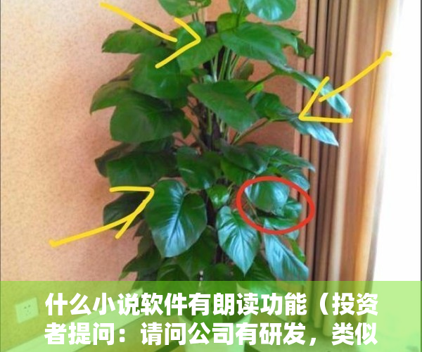 什么小说软件有朗读功能（投资者提问：请问公司有研发，类似小说朗读的软件吗？能在任何门户网页点击阅读）
