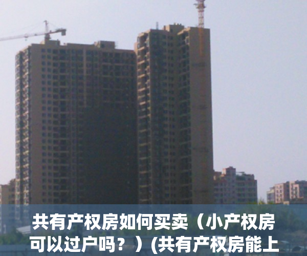 共有产权房如何买卖（小产权房可以过户吗？）(共有产权房能上小学么)