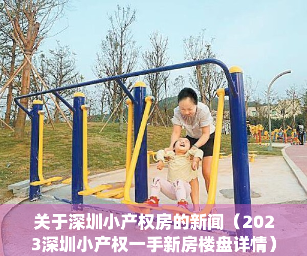 关于深圳小产权房的新闻（2023深圳小产权一手新房楼盘详情）(深圳小产权最新开盘)