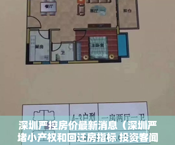 深圳严控房价最新消息（深圳严堵小产权和回迁房指标 投资客闻风收手 时报大视野）