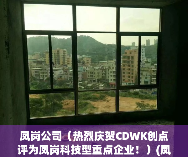 凤岗公司（热烈庆贺CDWK创点评为凤岗科技型重点企业！）(凤岗工业区)