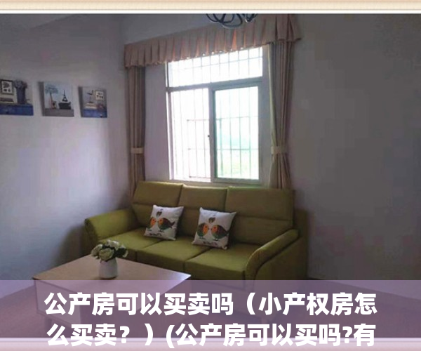 公产房可以买卖吗（小产权房怎么买卖？）(公产房可以买吗?有什么需要注意的)