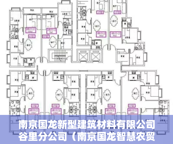 南京国龙新型建筑材料有限公司谷里分公司（南京国龙智慧农贸市场商铺为什么便宜？到底能不能买？）