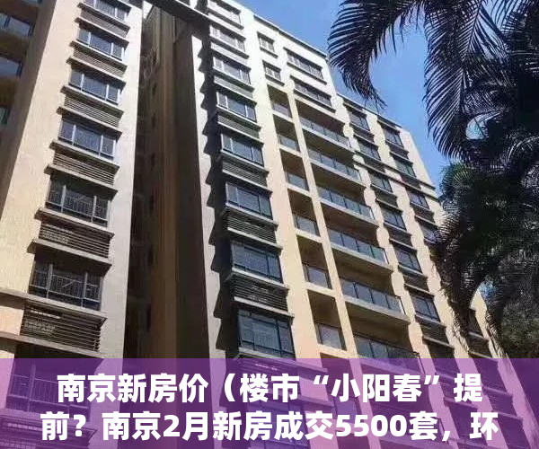 南京新房价（楼市“小阳春”提前？南京2月新房成交5500套，环比涨幅超6成）