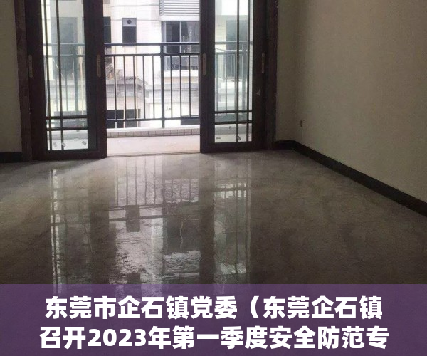 东莞市企石镇党委（东莞企石镇召开2023年第一季度安全防范专项工作会议）