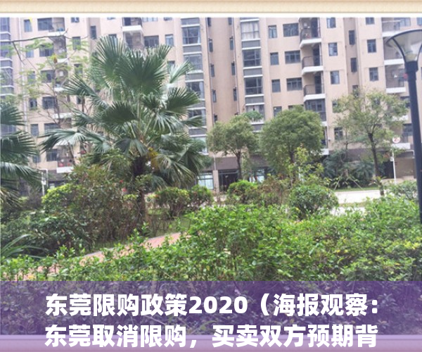 东莞限购政策2020（海报观察：东莞取消限购，买卖双方预期背离）(东莞限购令2020细则)