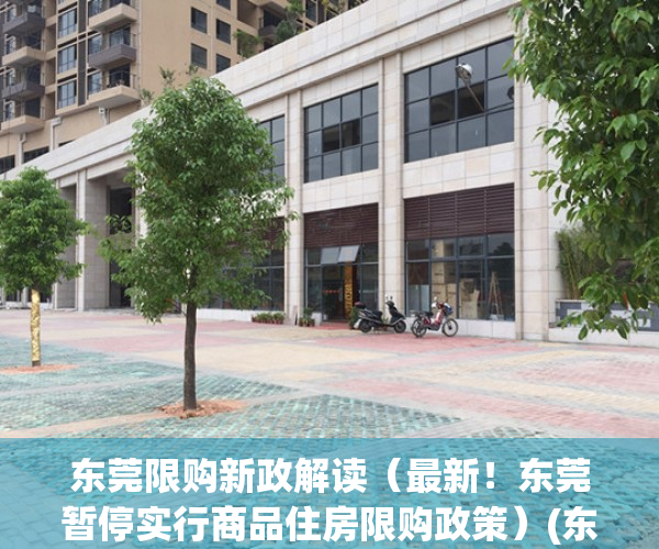 东莞限购新政解读（最新！东莞暂停实行商品住房限购政策）(东莞限购政策前后对比)