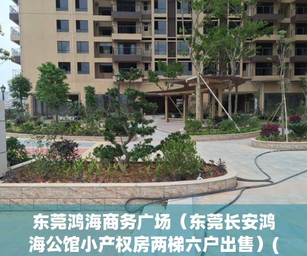 东莞鸿海商务广场（东莞长安鸿海公馆小产权房两梯六户出售）(东莞长安鸿海时代广场)