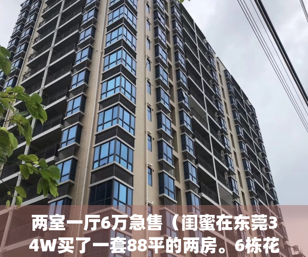 两室一厅6万急售（闺蜜在东莞34W买了一套88平的两房。6栋花园小区。）(东莞两房一厅租金多少)