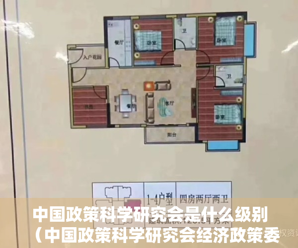 中国政策科学研究会是什么级别（中国政策科学研究会经济政策委员会副主任、中国欧美同学会经济研究中心主任徐洪才：深圳要勇挑大梁率先实现高质量发展）