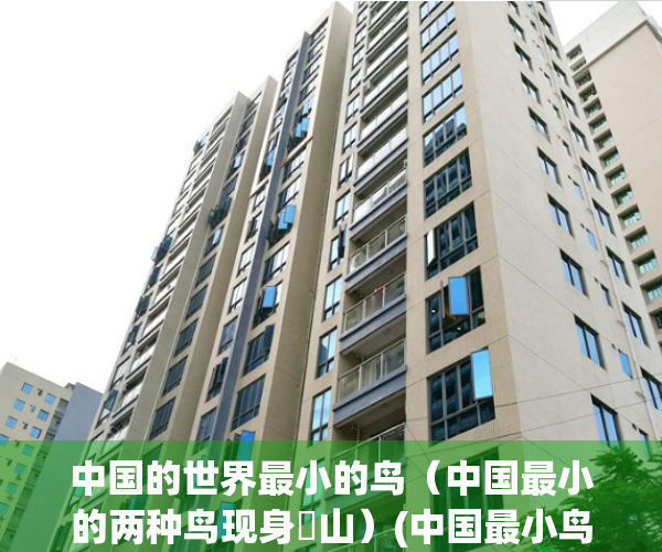 中国的世界最小的鸟（中国最小的两种鸟现身崀山）(中国最小鸟类)