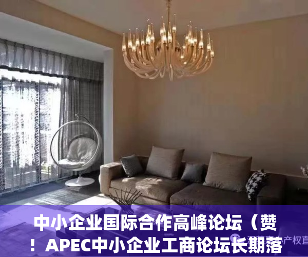 中小企业国际合作高峰论坛（赞！APEC中小企业工商论坛长期落户深圳）(中小企业合作论坛开幕)