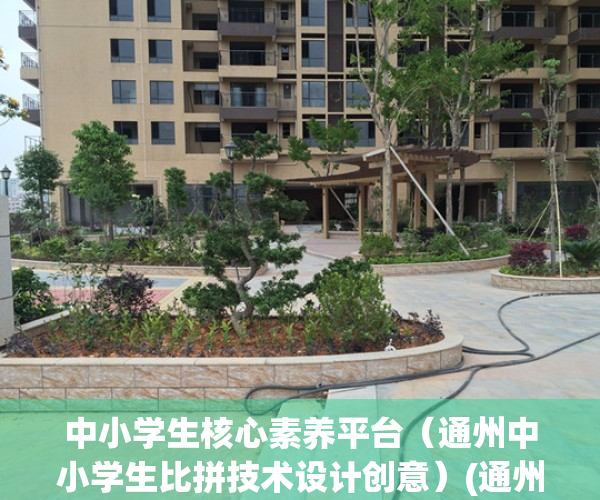 中小学生核心素养平台（通州中小学生比拼技术设计创意）(通州区中学学科核心素养手册)