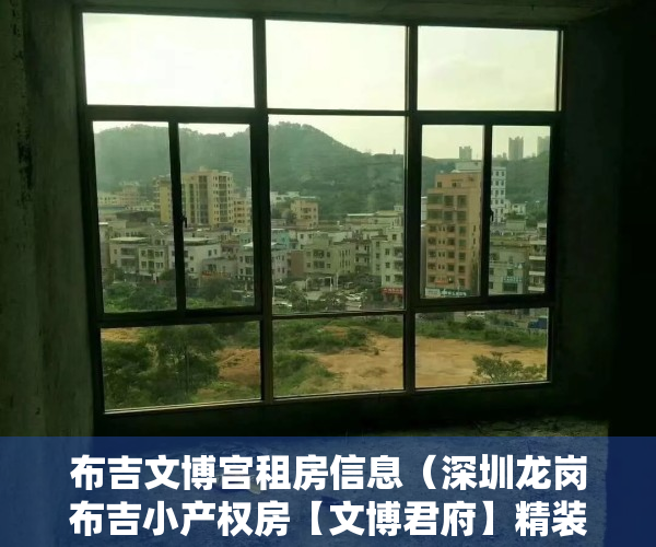 布吉文博宫租房信息（深圳龙岗布吉小产权房【文博君府】精装现房出售 使用率80%以上）