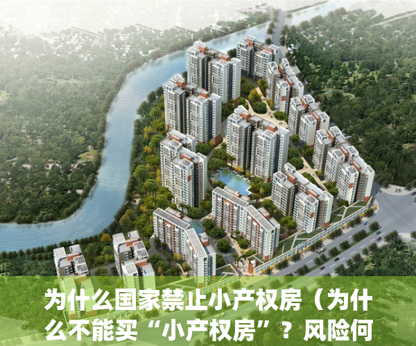 为什么国家禁止小产权房（为什么不能买“小产权房”？风险何在？）(为什么大家不买小产权)