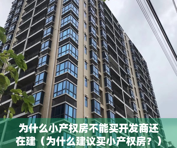 为什么小产权房不能买开发商还在建（为什么建议买小产权房？）(为什么小产权房不能交易)