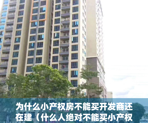 为什么小产权房不能买开发商还在建（什么人绝对不能买小产权？）(既然小产权房子不能卖为啥还能建)