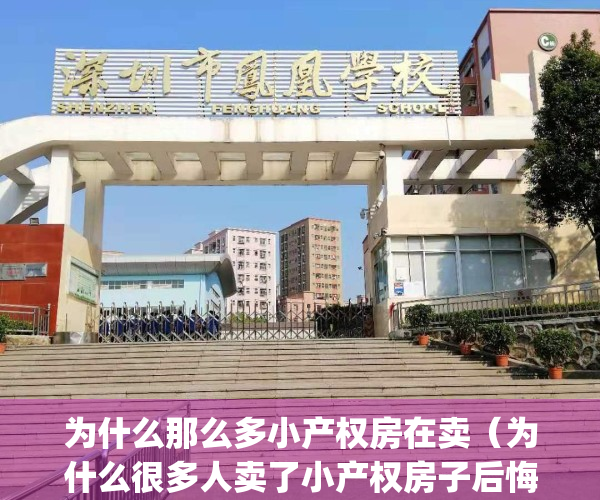 为什么那么多小产权房在卖（为什么很多人卖了小产权房子后悔）(为什么小产权房国家还让他们迠)