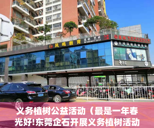 义务植树公益活动（最是一年春光好!东莞企石开展义务植树活动）(2021年义务植树宣传活动)