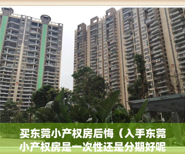 买东莞小产权房后悔（入手东莞小产权房是一次性还是分期好呢？）(东莞小产权房多少钱一套)